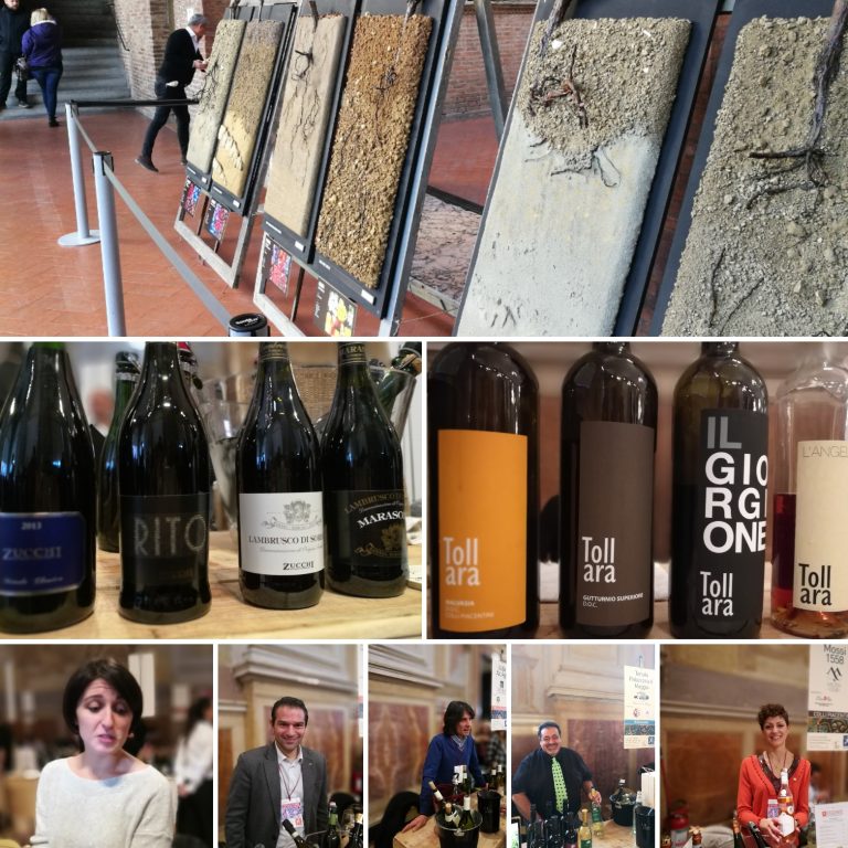 ENOLOGICA 2017, Palazzo Re Enzo, Bologna