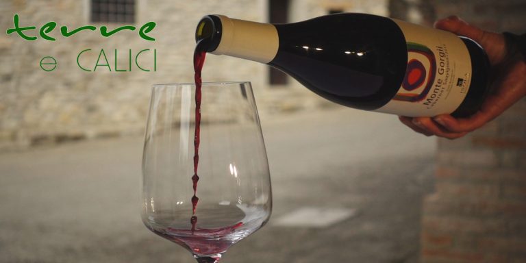 TERRE E CALICI