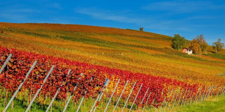 Un autunno...CALDO!