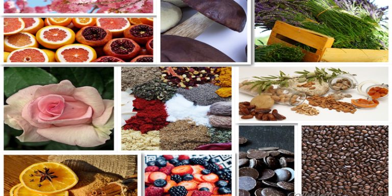 DEGUSTIAMO? Assaggiare il vino: riconoscimenti olfattivi e gusto-olfattivi