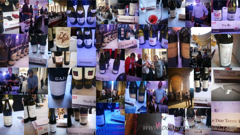 PRESENTAZIONE GUIDA SLOWWINE 2019, Montecatini T. 13/10/18